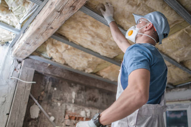 Best Spray Foam Insulation  in St Anne, IL