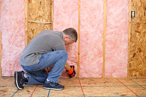 Professional Insulation Contractor in St Anne, IL